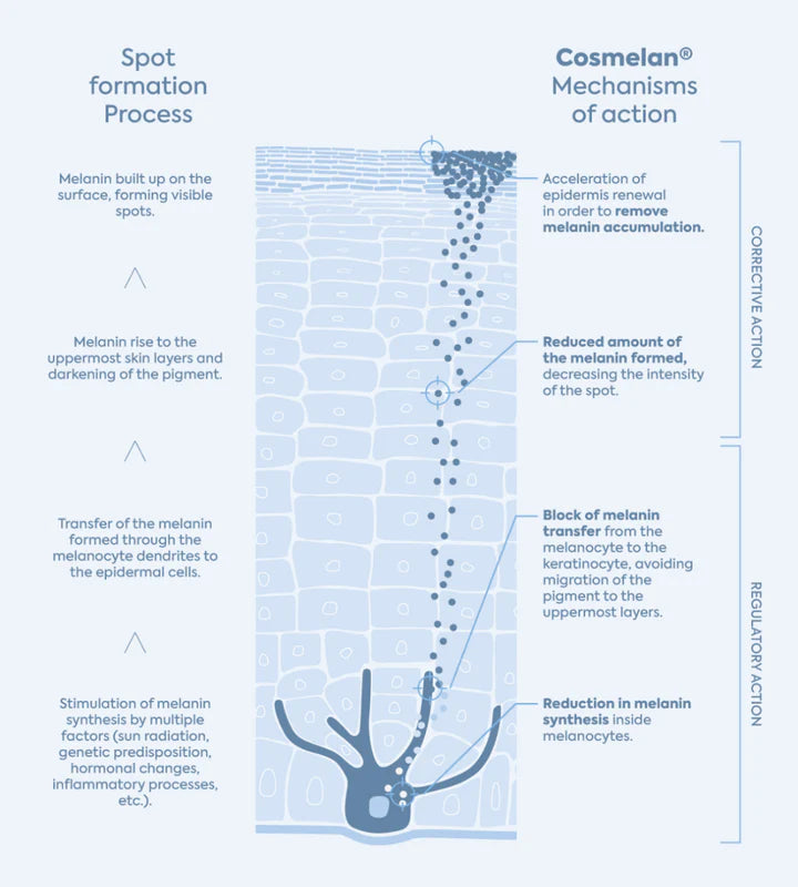 The visible difference you deserve to experience